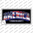 America Novelty Sticker Decal