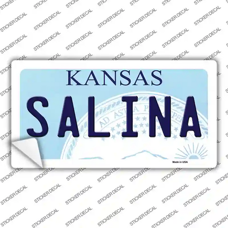 Salina Kansas Novelty Sticker Decal
