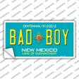 Bad Boy New Mexico Novelty Sticker Decal