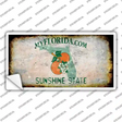 Florida State Rusty Novelty Sticker Decal