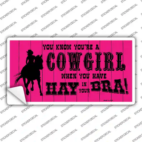 Pink Cowgirl Novelty Sticker Decal