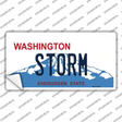 Storm Washington Novelty Sticker Decal