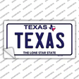 Texas Novelty Sticker Decal