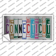 Connecticut Art Novelty Sticker Decal