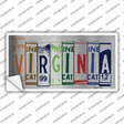 Virginia Art Novelty Sticker Decal