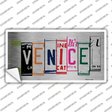 Venice License Plate Art Brushed Chrome Novelty Sticker Decal