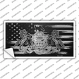 Pennsylvania Carbon Fiber Novelty Sticker Decal