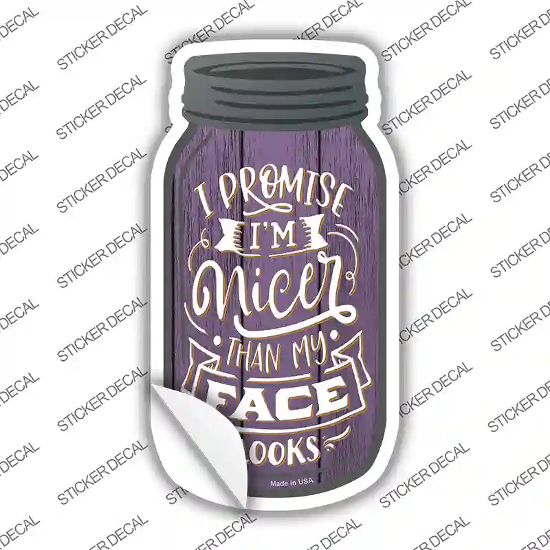 Nicer Than My Face Novelty Mason Jar Sticker Decal