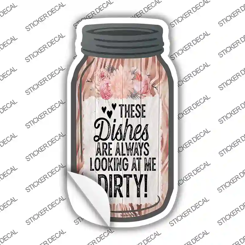 Dishes Looking At Me Dirty Novelty Mason Jar Sticker Decal