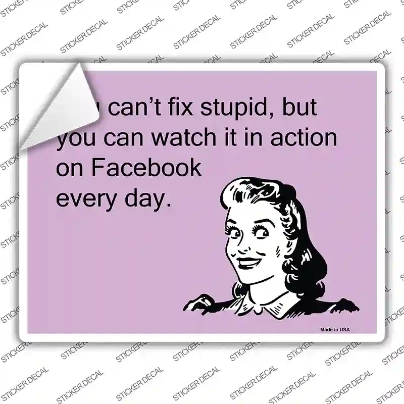 You Cant Fix Stupid Novelty Rectangle Sticker Decal