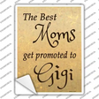 Moms Promoted To Gigi Novelty Rectangle Sticker Decal