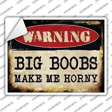 Big Boobs Novelty Rectangle Sticker Decal