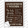 Golden Retriever Wisdom Novelty Rectangle Sticker Decal