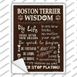 Boston Terrier Wisdom Novelty Rectangle Sticker Decal