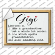Gigi Definition Novelty Rectangle Sticker Decal