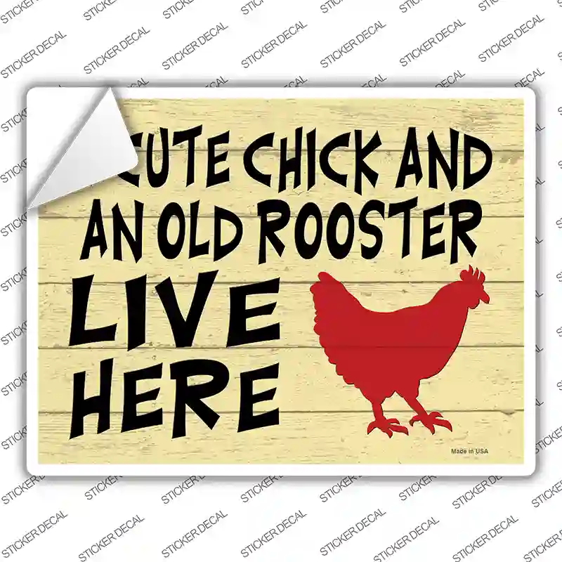 Cute Chick Old Rooster Live Here Novelty Rectangle Sticker Decal
