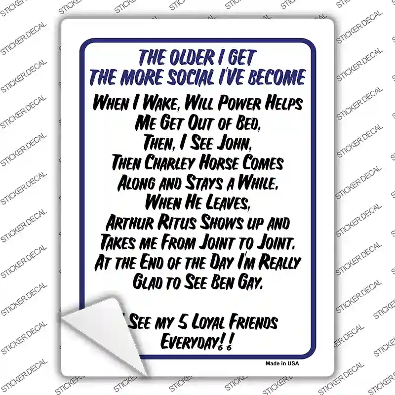 The Older I Get Novelty Rectangle Sticker Decal