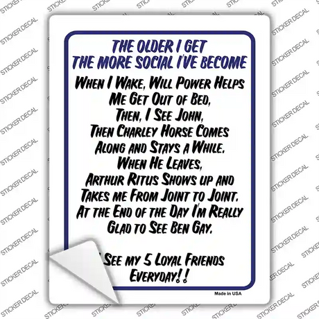 The Older I Get Novelty Rectangle Sticker Decal