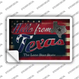 Hello From Texas Novelty Postcard Sticker Decals