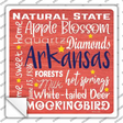 Arkansas Motto Novelty Square Sticker Decal