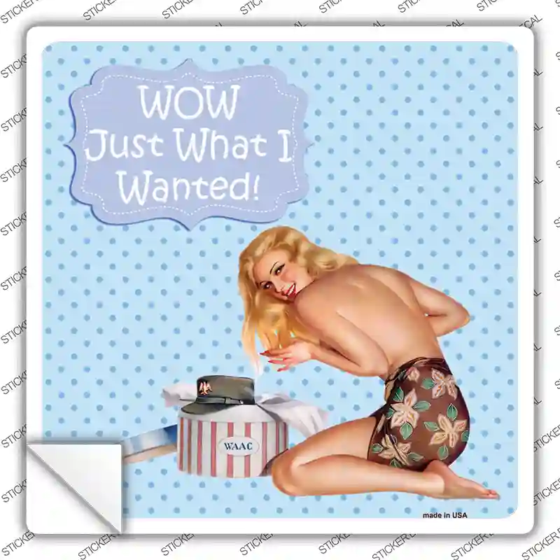 Just What I Wanted Novelty Square Sticker Decal