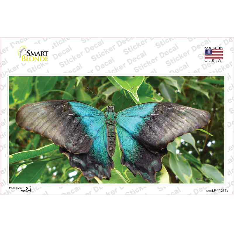 Butterfly Blue and Black Novelty Sticker Decal