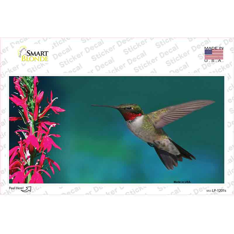 Humming Bird Novelty Sticker Decal