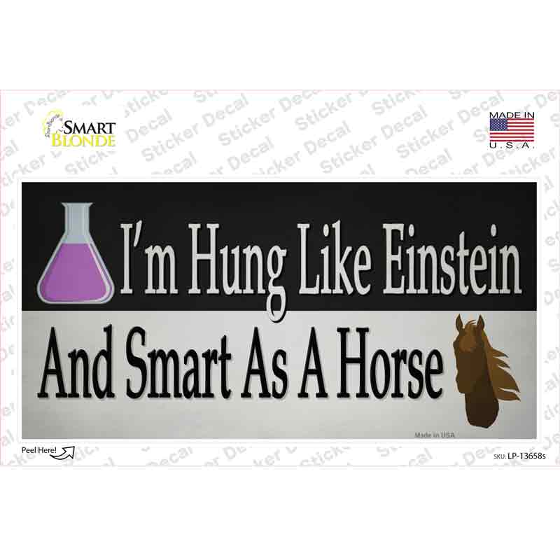 Hung Like Einstein Novelty Sticker Decal