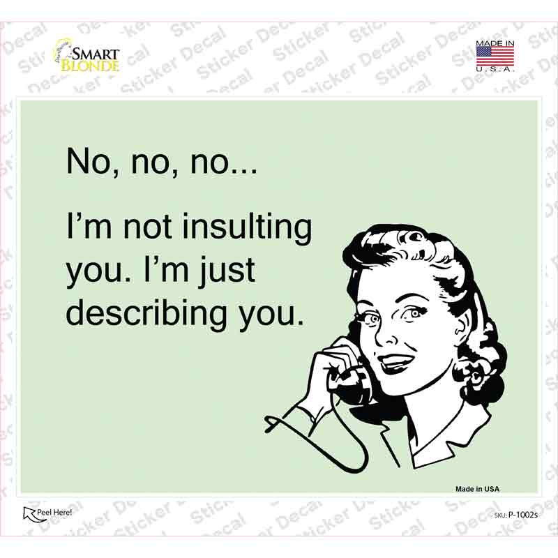 Im Not insulting You Novelty Rectangle Sticker Decal