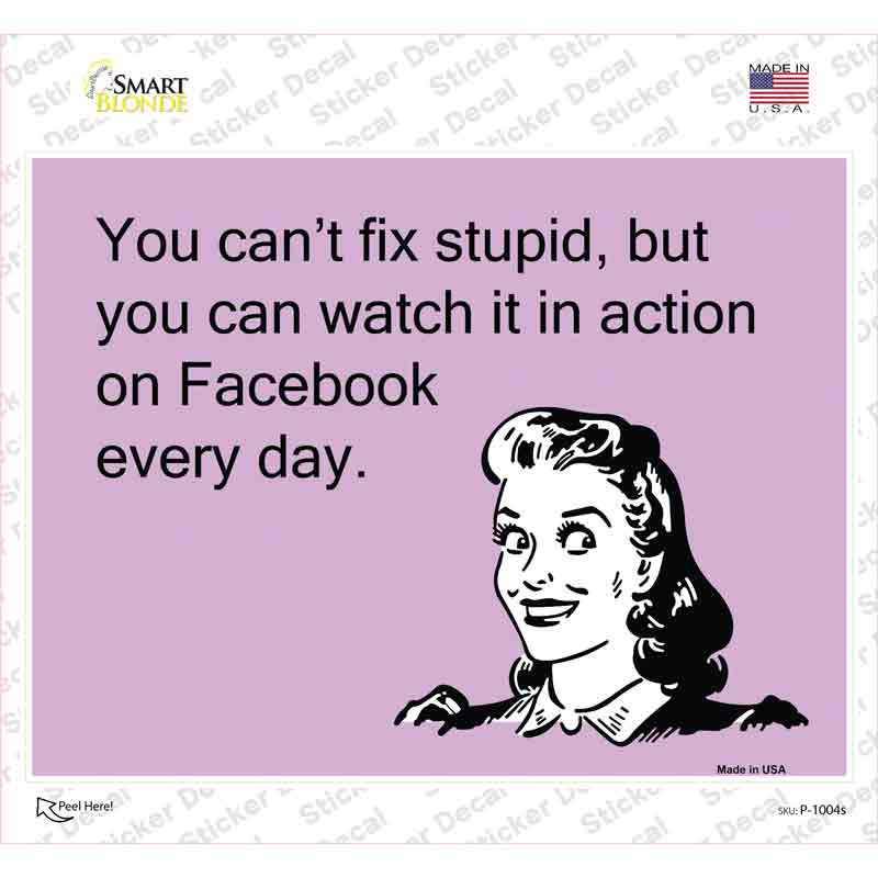 You Cant Fix Stupid Novelty Rectangle Sticker Decal