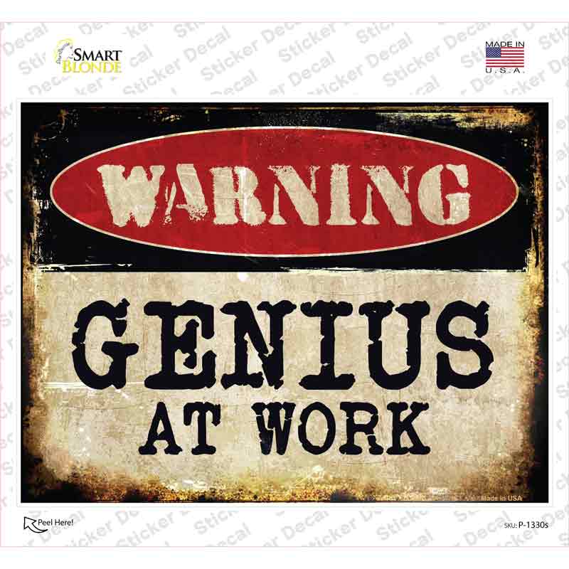 Genius At Work Novelty Rectangle Sticker Decal