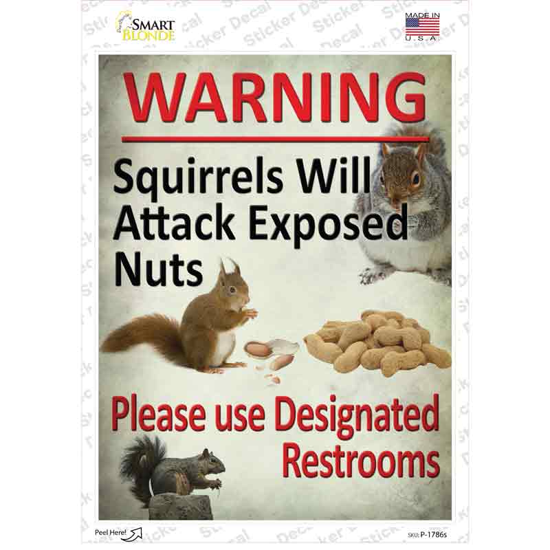 Squirrels Will Attack Novelty Rectangle Sticker Decal