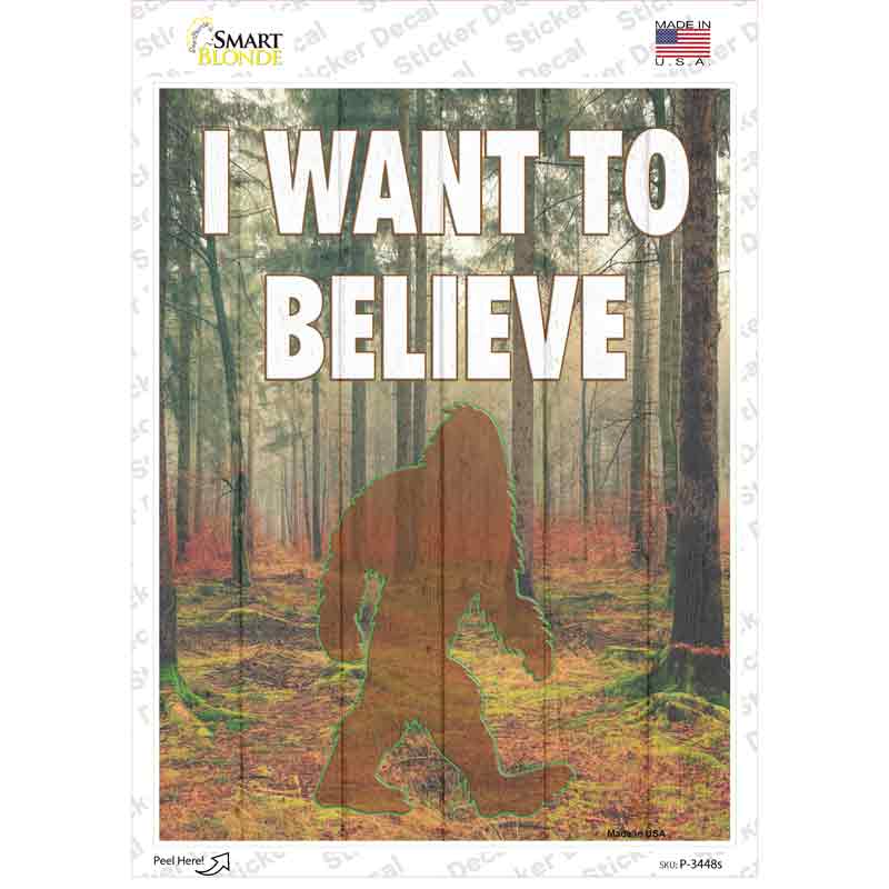 I Want to Believe Novelty Rectangle Sticker Decal