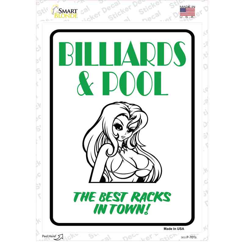 Billiards & Pool Novelty Rectangle Sticker Decal