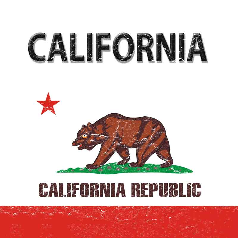 States Themed Metal License Plates & Signs | Smart Blonde