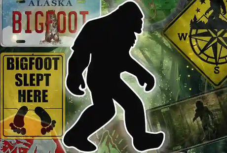 Bigfoot | Sasquatch