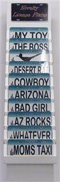 Package 3 - State Backgrounds -120 Best Sellers Wholesale Novelty License Plates