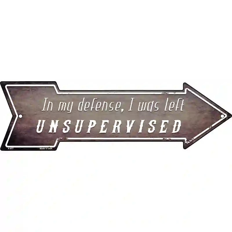 I Was Left Unsupervised Novelty Metal Arrow Sign 17" x 5" (A)