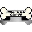 Boneified Genius Novelty Metal Bone Magnet