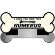 Humerus Novelty Metal Bone Magnet