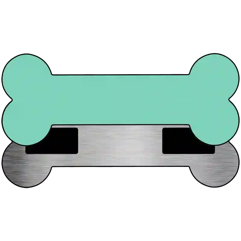 Teal Novelty Metal Bone Magnet