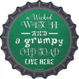 Wicked Witch and Grumpy Toad Novelty Metal Bottle Cap Sign BC-1286