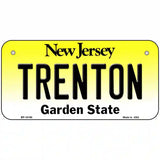 Trenton New Jersey Metal Novelty License Plate 6" x 3" (BP)