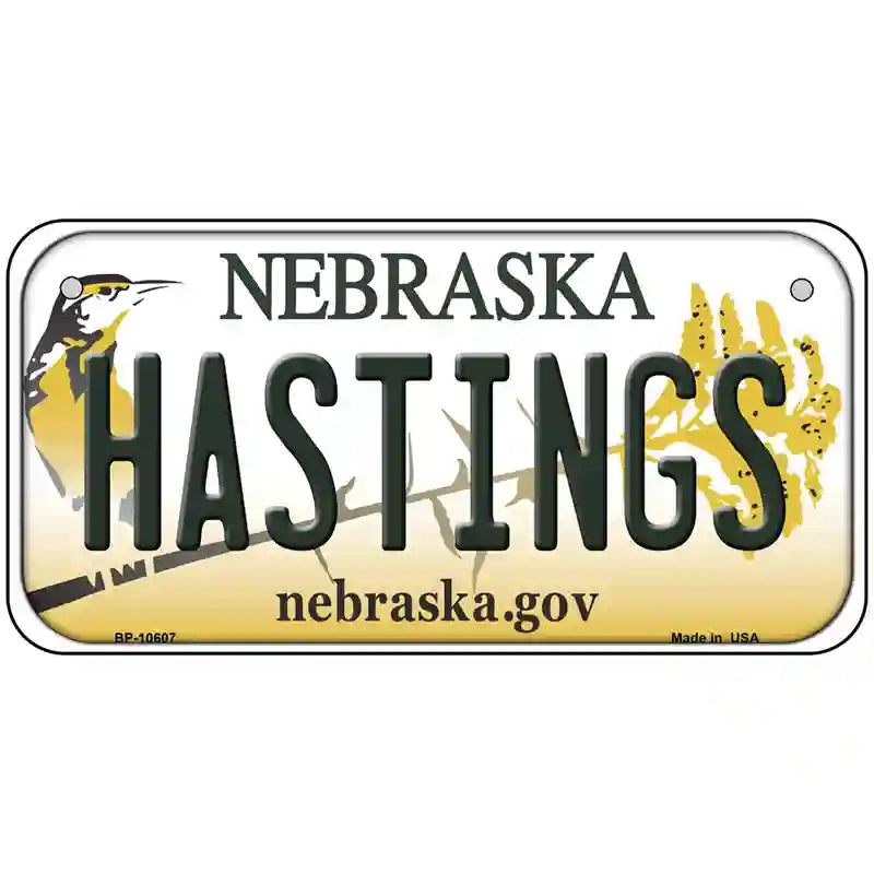 Hastings Nebraska Metal Novelty License Plate 6" x 3" (BP)