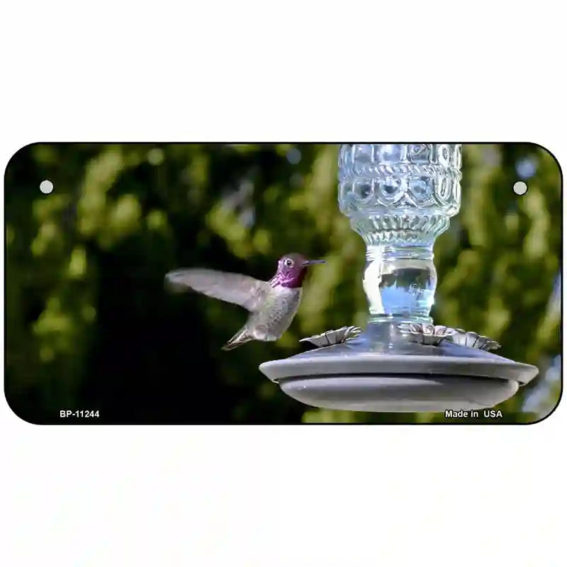 Hummingbird At Feeder Novelty Metal License Plate 6" x 3" (BP)