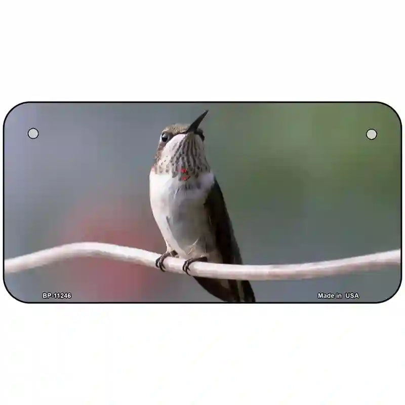 Hummingbird Perched On Branch Novelty Metal License Plate 6" x 3" (BP)