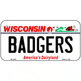 Badgers Wisconsin Novelty Metal License Plate 6" x 3" (BP)