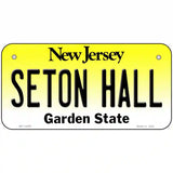 Seton Hall Novelty Metal License Plate 6" x 3" (BP)