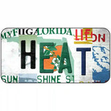 Heat Strip Art Novelty Metal License Plate Tag 6" x 3" (BP)