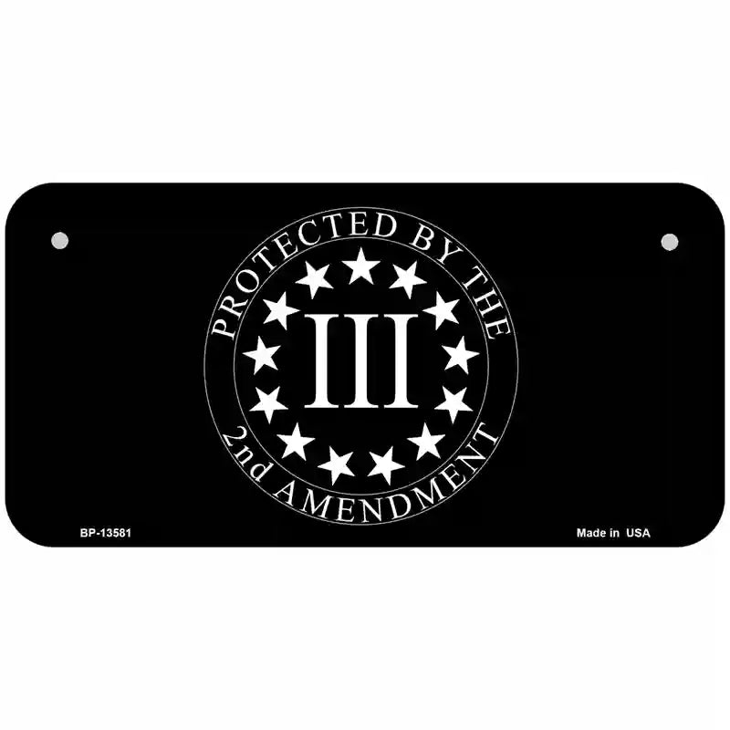 Protected by 2nd Amendment Novelty Metal License Plate Tag 6" x 3" (BP)